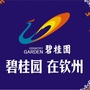 碧桂园在钦州ico