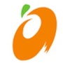 千岛湖芒果旅行社公众号ico