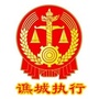 谯城执行ico