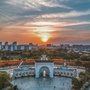 大宁郁金香公园ico