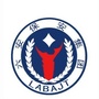 六安保安ico
