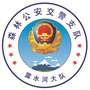 森林交警露水河大队ico