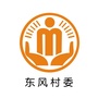 高峰东风阳光村务ico
