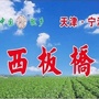 板桥镇西板桥村ico