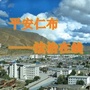 平安仁布法治在线ico