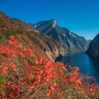 奉节招商ico