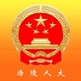 涪陵人大ico
