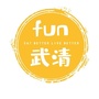 fun武清ico
