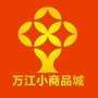 万江小商品城ico