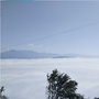 坪坝微讯ico