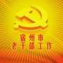 宿州老干部ico