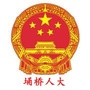 埇桥人大ico