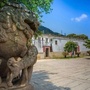 魅力鹤上ico