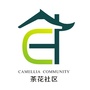 宜居茶花公众号ico