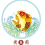 吉林农安县黄鱼圈ico