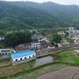 生态牛石ico