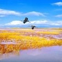 昌邑小镇ico