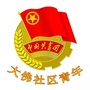 龙泉驿大佛社区青年ico