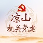 凉山机关党建ico
