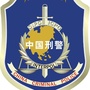 四平刑警支队ico