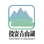 投资青山湖ico