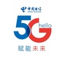 六安电信发布ico
