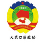 大武口区政协ico