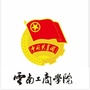 云南工商学院团委ico
