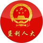 垦利人大ico