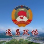 遂昌政协ico