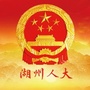 湖州人大ico