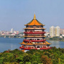 网信月湖ico