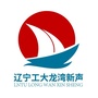 辽宁工大龙湾新声公众号ico