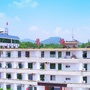 新罗苏坂ico
