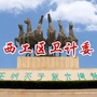 西工卫生计生ico