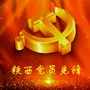 铁西党员先锋展示平台ico