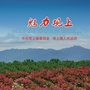 魅力观上ico