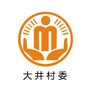 高峰大井阳光村务ico