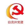 自流井党建ico