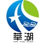 莘湖出国ico