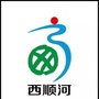 关注西顺河ico