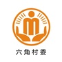 沙坪六角阳光村务ico
