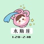 晚安水瓶座ico