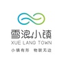 雪浪小镇公众号ico