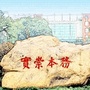 生机人文ico
