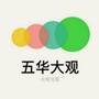 五华大观ico
