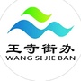 王寺街道办事处ico