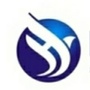 山东环投环境工程有限公司ico