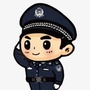金凤治安ico