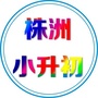 株洲小升初ico